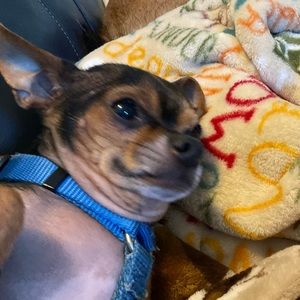 Meet your Posher, Kaede